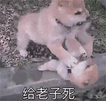 定了！伦纳德大战中国状元秀！NBA全明星加盟广州队