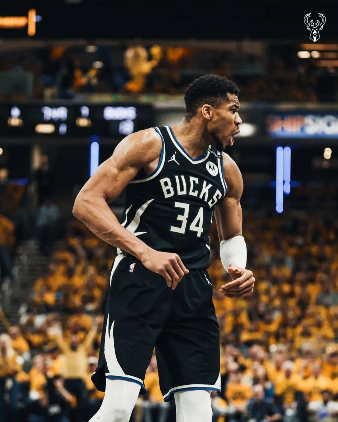 雄鹿(lù)尼克斯曾讨论字母哥交易！雄鹿(lù)对字母哥也是够可以了！