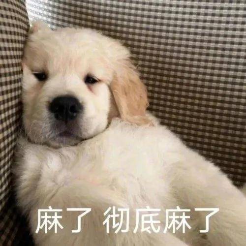 麻了麻了!锡安突发伤病!NBA又一球星倒下