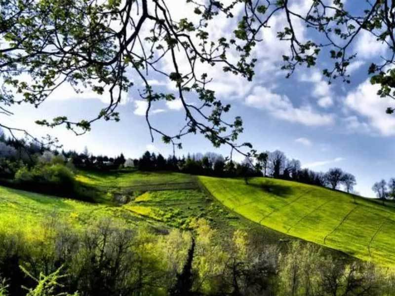 校园篮球三分大赛举行,选手精准投篮